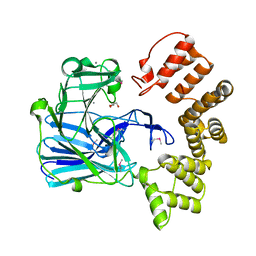 BU of 5cd6 by Molmil