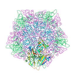 BU of 5cdd by Molmil