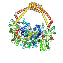 BU of 5cdm by Molmil