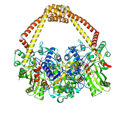 BU of 5cdp by Molmil