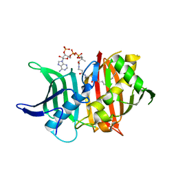 AU of 5cf7 by Molmil
