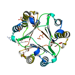 AU of 5cg4 by Molmil