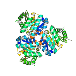 BU of 5cga by Molmil