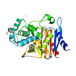 BU of 5cgs by Molmil