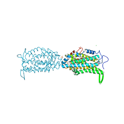 BU of 5ci1 by Molmil