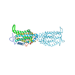 BU of 5ci2 by Molmil