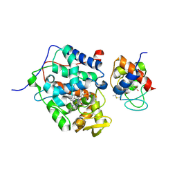 BU of 5cig by Molmil