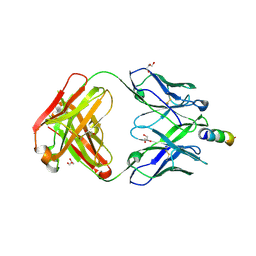 BU of 5cin by Molmil