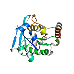 BU of 5ciq by Molmil