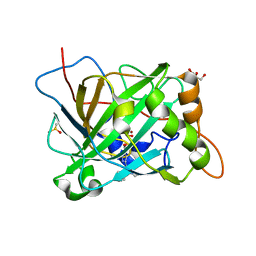 AU of 5cjl by Molmil