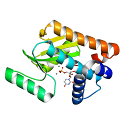 BU of 5cl0 by Molmil