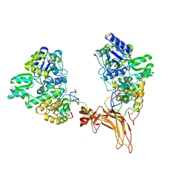 BU of 5cl1 by Molmil