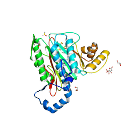 BU of 5cls by Molmil