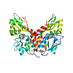 BU of 5cmb by Molmil