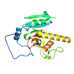 BU of 5cmf by Molmil