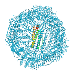 BU of 5cmq by Molmil