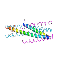 BU of 5cmz by Molmil