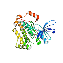 BU of 5cno by Molmil