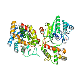 BU of 5coa by Molmil