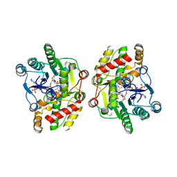 BU of 5cob by Molmil