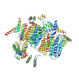 BU of 5cod by Molmil