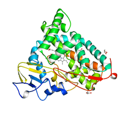 BU of 5cp4 by Molmil