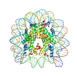 BU of 5cp6 by Molmil