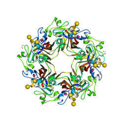 BU of 5cpy by Molmil