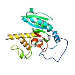 BU of 5cqm by Molmil