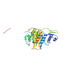 BU of 5crf by Molmil