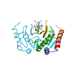 BU of 5cs2 by Molmil