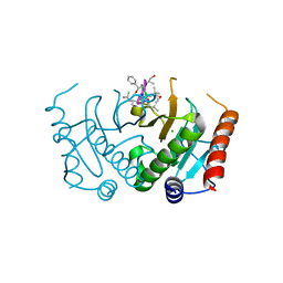 BU of 5cs2 by Molmil