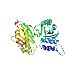 BU of 5cs4 by Molmil