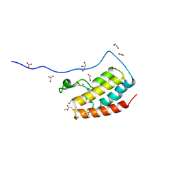 BU of 5cs8 by Molmil