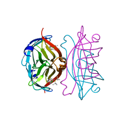 BU of 5cse by Molmil