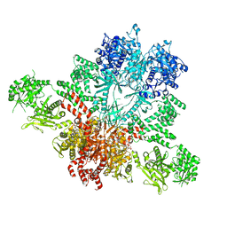 BU of 5csl by Molmil