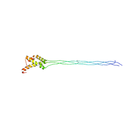 BU of 5ctd by Molmil