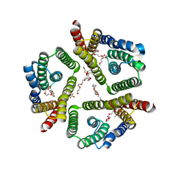 BU of 5cth by Molmil