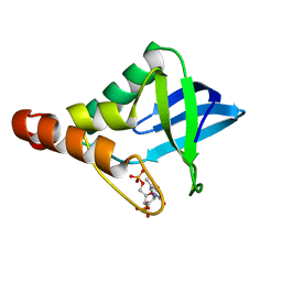 BU of 5cv4 by Molmil