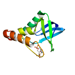 BU of 5cv6 by Molmil