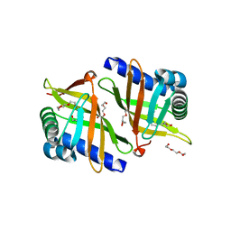 BU of 5cxo by Molmil