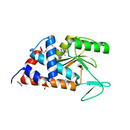 BU of 5cxr by Molmil