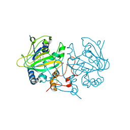 BU of 5dap by Molmil