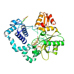 BU of 5dbc by Molmil