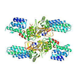 BU of 5dbo by Molmil