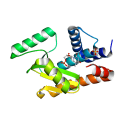 BU of 5dbs by Molmil