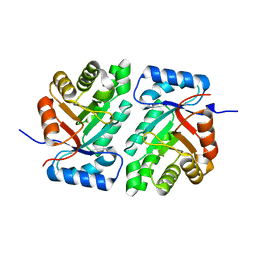 BU of 5dbu by Molmil