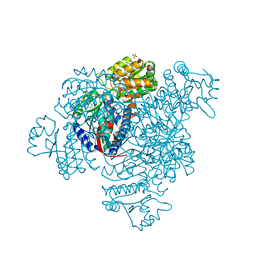 BU of 5dbv by Molmil