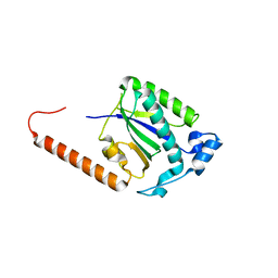 BU of 5dcx by Molmil