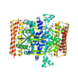 AU of 5dee by Molmil